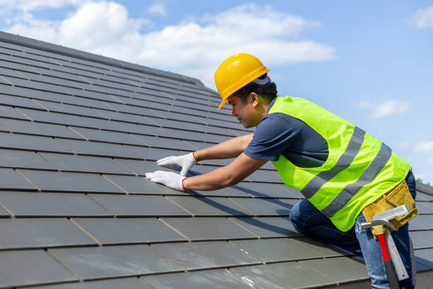 Roof Gutter Cleaning in Philadelphia, PA